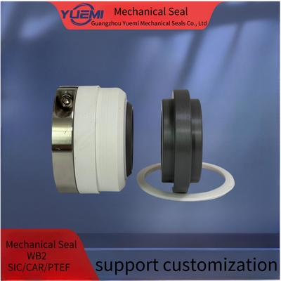 WB2 Pusher en alliage fluoroplastique pompe à eau joints mécaniques PTFE SSIC SSIC