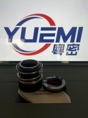 MG13/Z Pompes à circulation centrifuge pour conduites d'eau chaude joints mécaniques Glf Tp/Tpd/Lp/Lm, G4 G6 G60