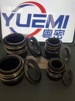 MG13/Z Pompes à circulation centrifuge pour conduites d'eau chaude joints mécaniques Glf Tp/Tpd/Lp/Lm, G4 G6 G60